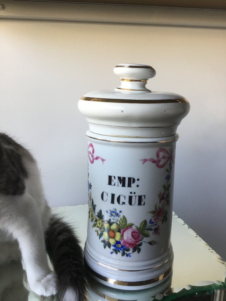  Pot à Pharmacie , Porcelaine De Paris , Décor Fleuri-photo-3