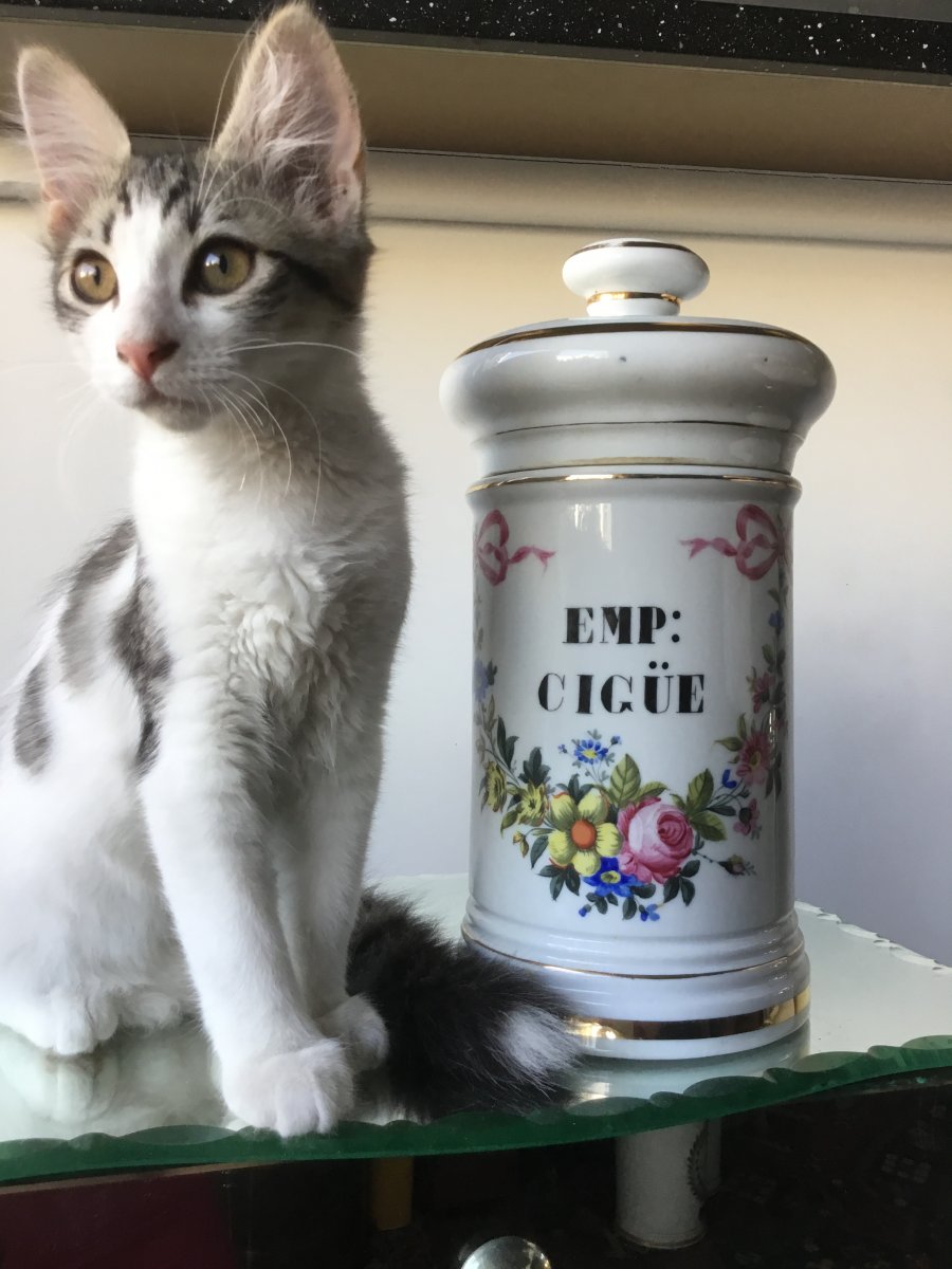  Pot à Pharmacie , Porcelaine De Paris , Décor Fleuri