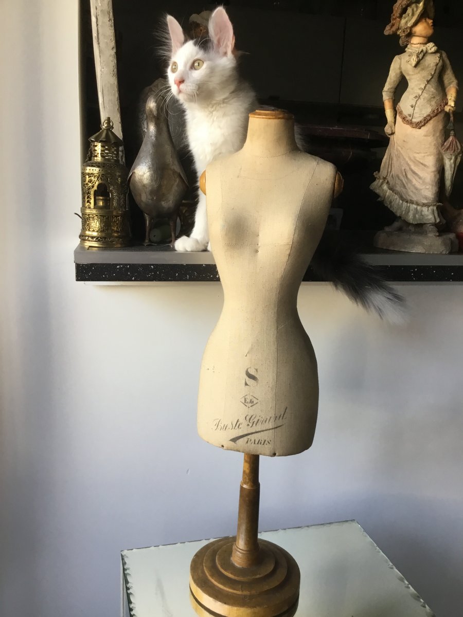 Mannequin De Couture De Poupée , Maison Girard