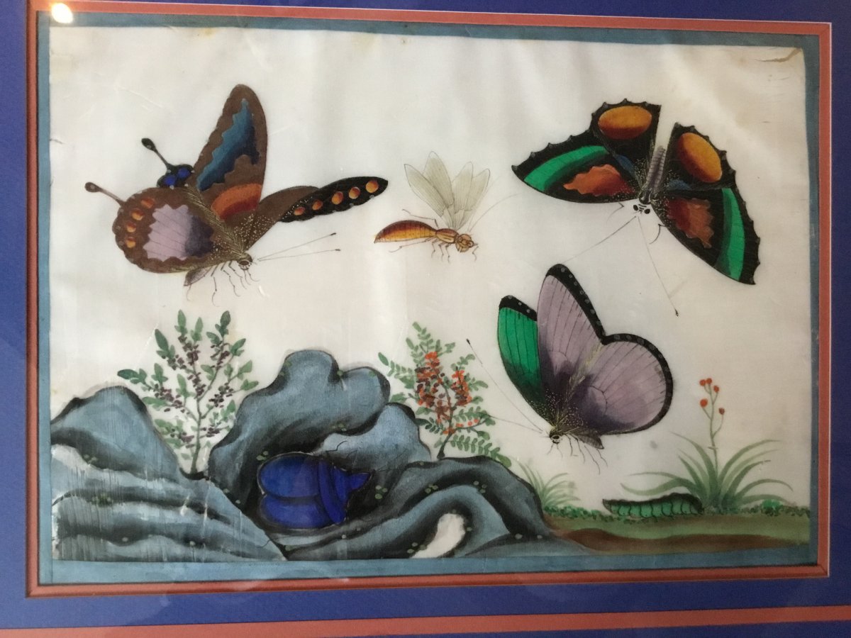Peinture Sur Papier De Riz, Canton, Chine, époque XIX ème Siècle-photo-4