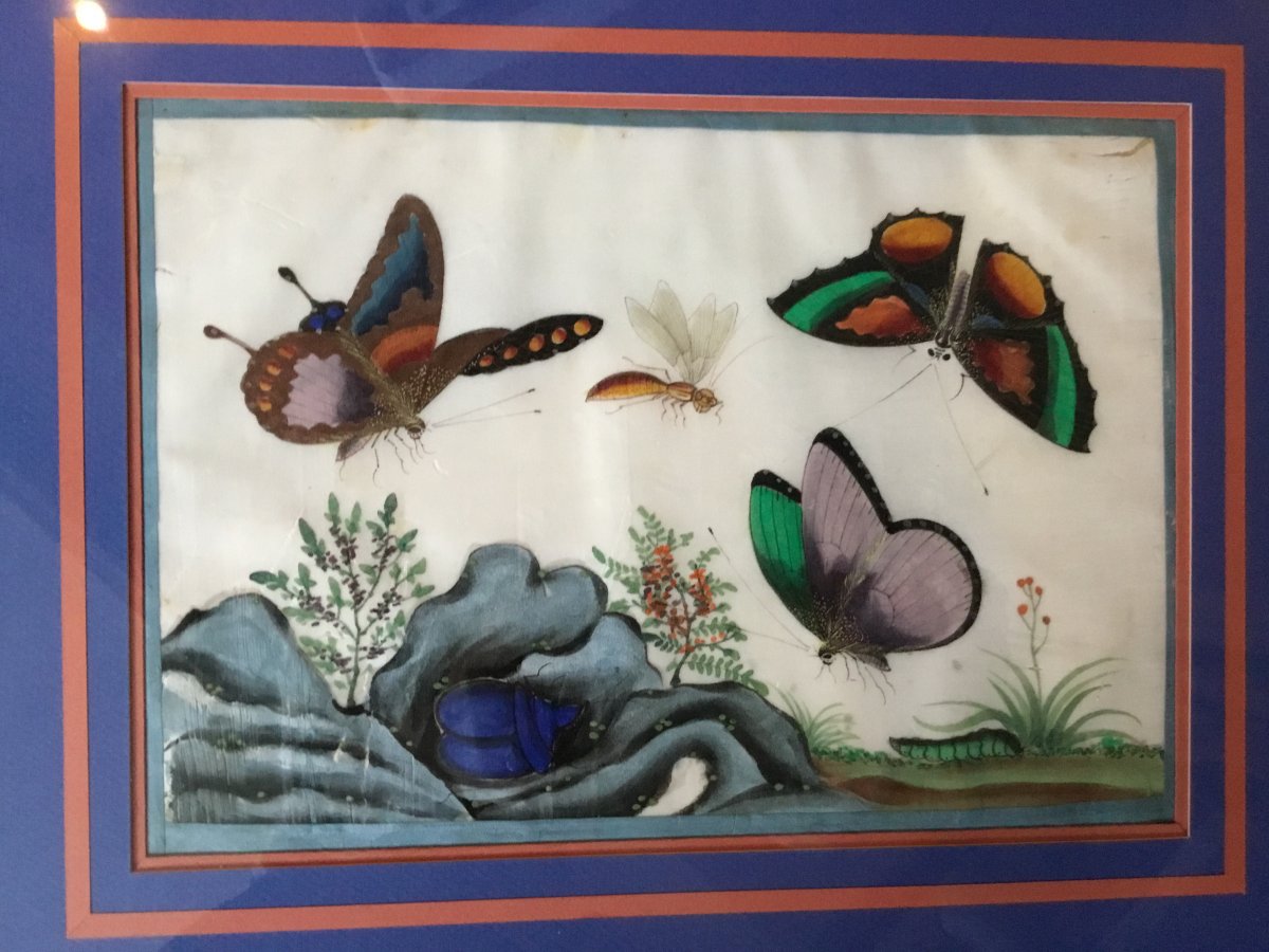 Peinture Sur Papier De Riz, Canton, Chine, époque XIX ème Siècle