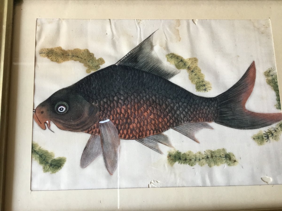 Gouache Sur Papier De Riz, Canton, Chine, époque XIX ème -photo-2