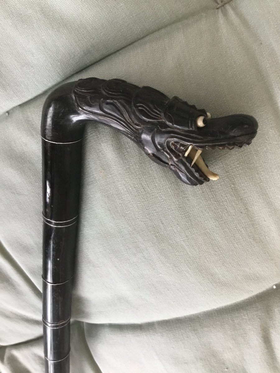 Ancient Cane In Macassar Wood And Ivory With Dragon Head-photo-4