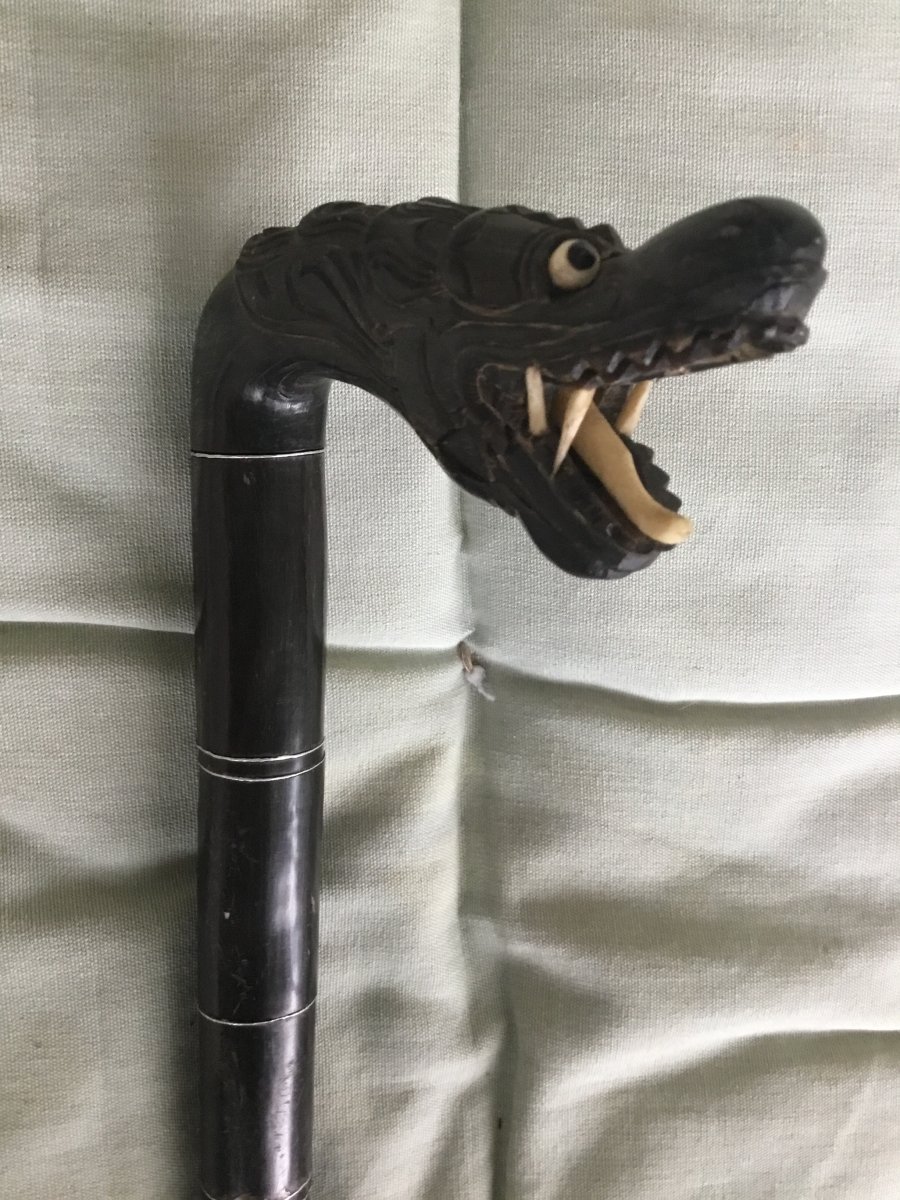 Ancient Cane In Macassar Wood And Ivory With Dragon Head-photo-5