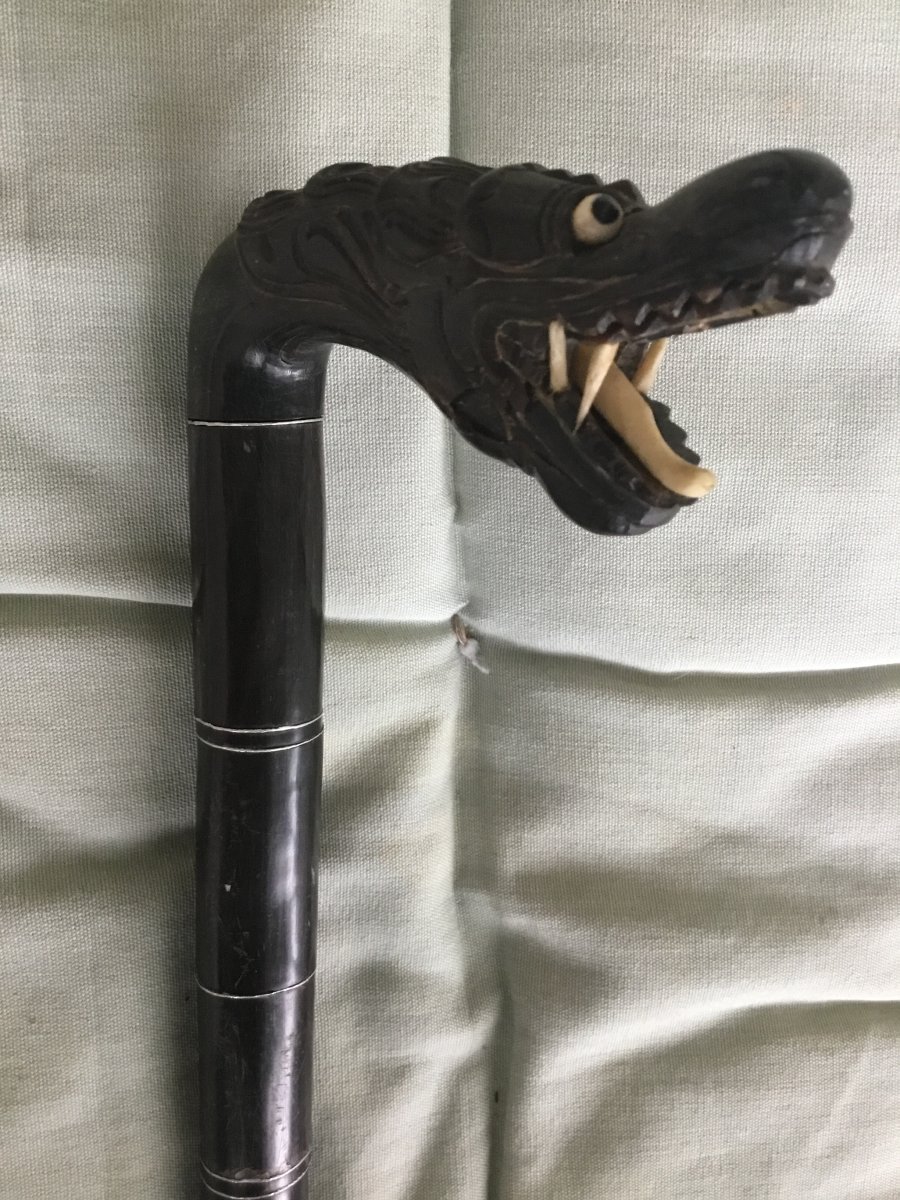 Ancient Cane In Macassar Wood And Ivory With Dragon Head