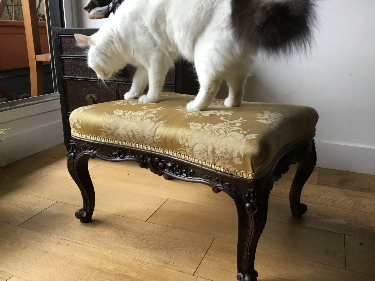 Large Pouf (51x41)  Bois Naturel Sculpté De Style Louis XV-photo-4