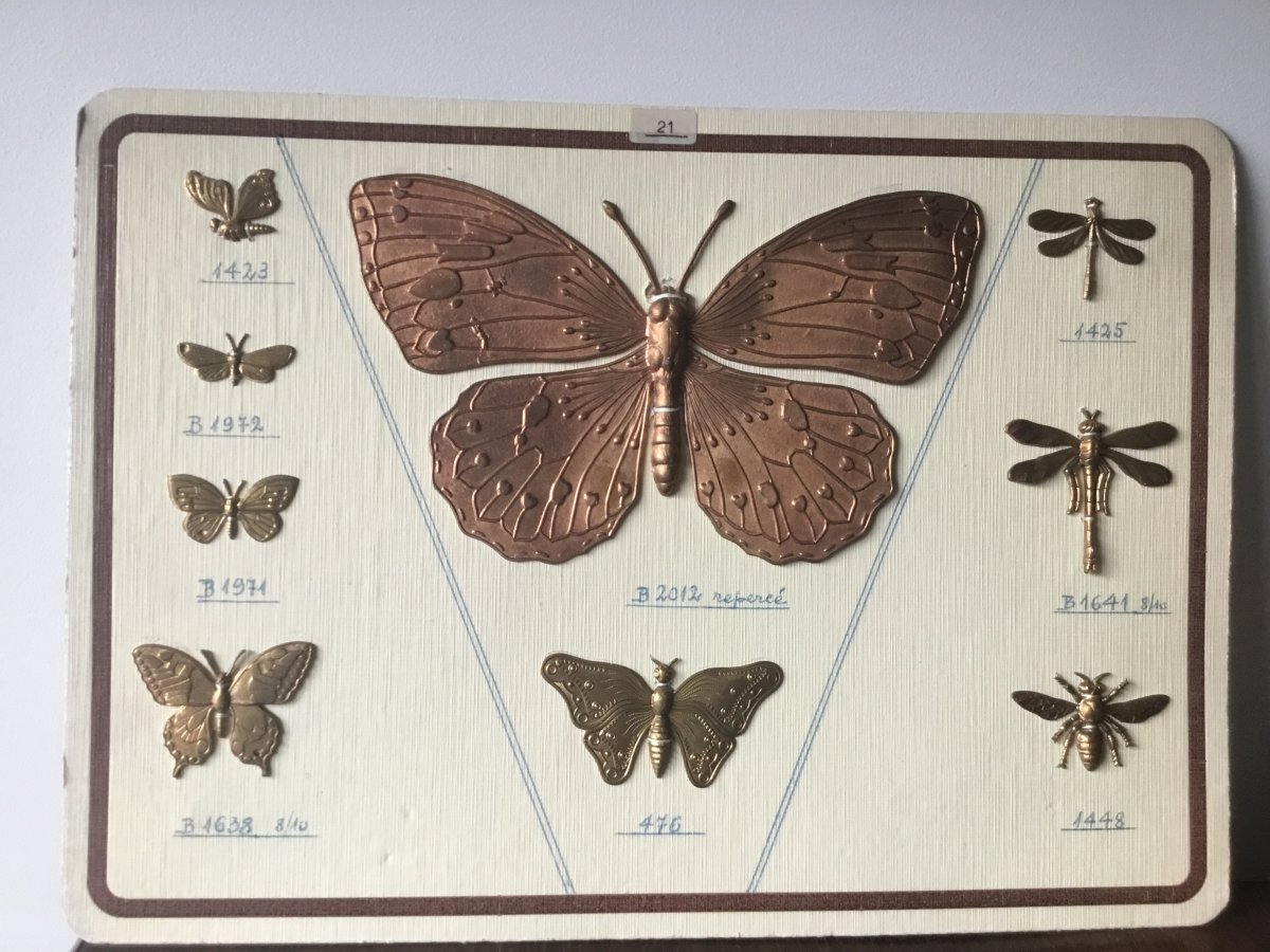 Échantillons Papillon, D’un Maître Bronzier , Vers 1880-photo-2