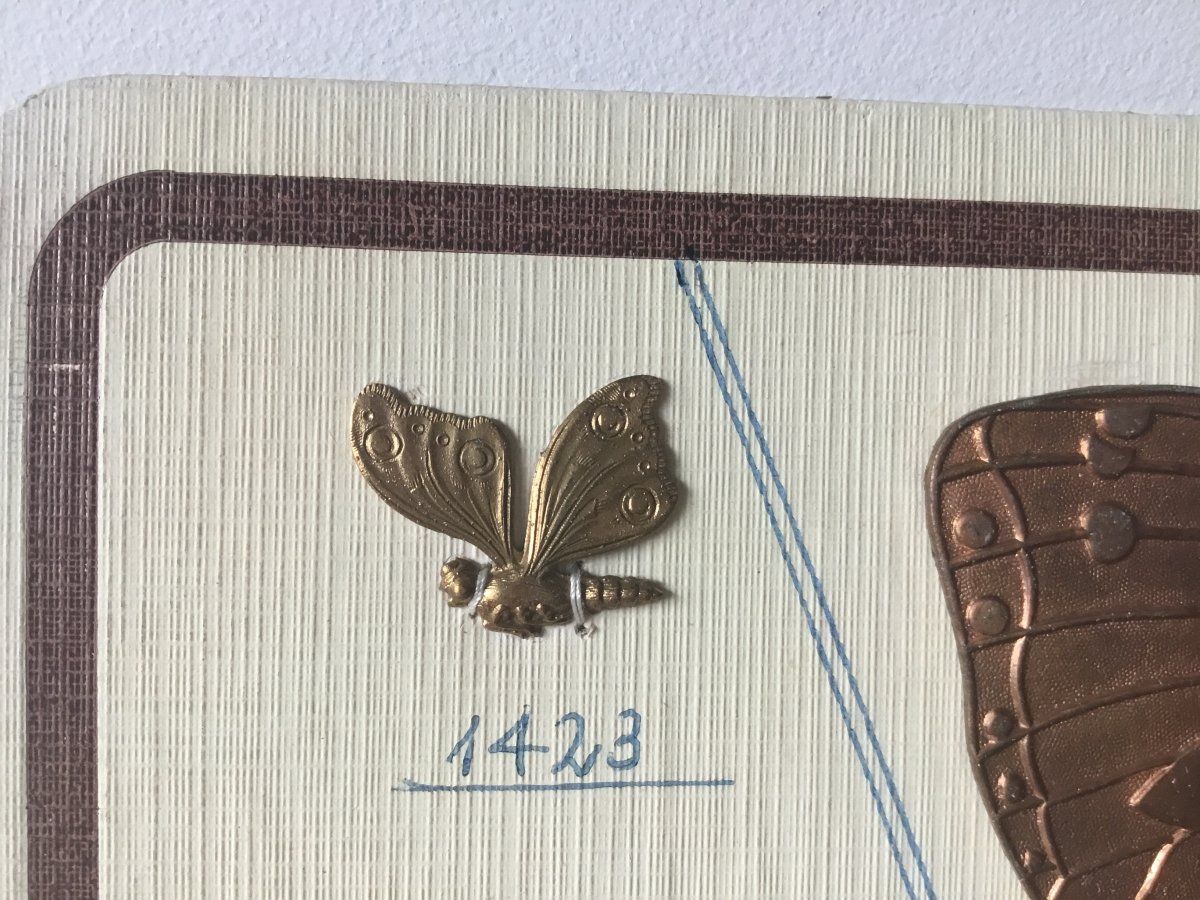 Échantillons Papillon, D’un Maître Bronzier , Vers 1880-photo-3