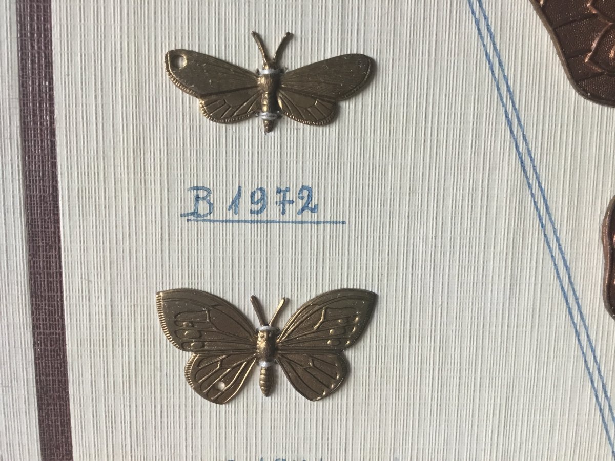 Échantillons Papillon, D’un Maître Bronzier , Vers 1880-photo-1