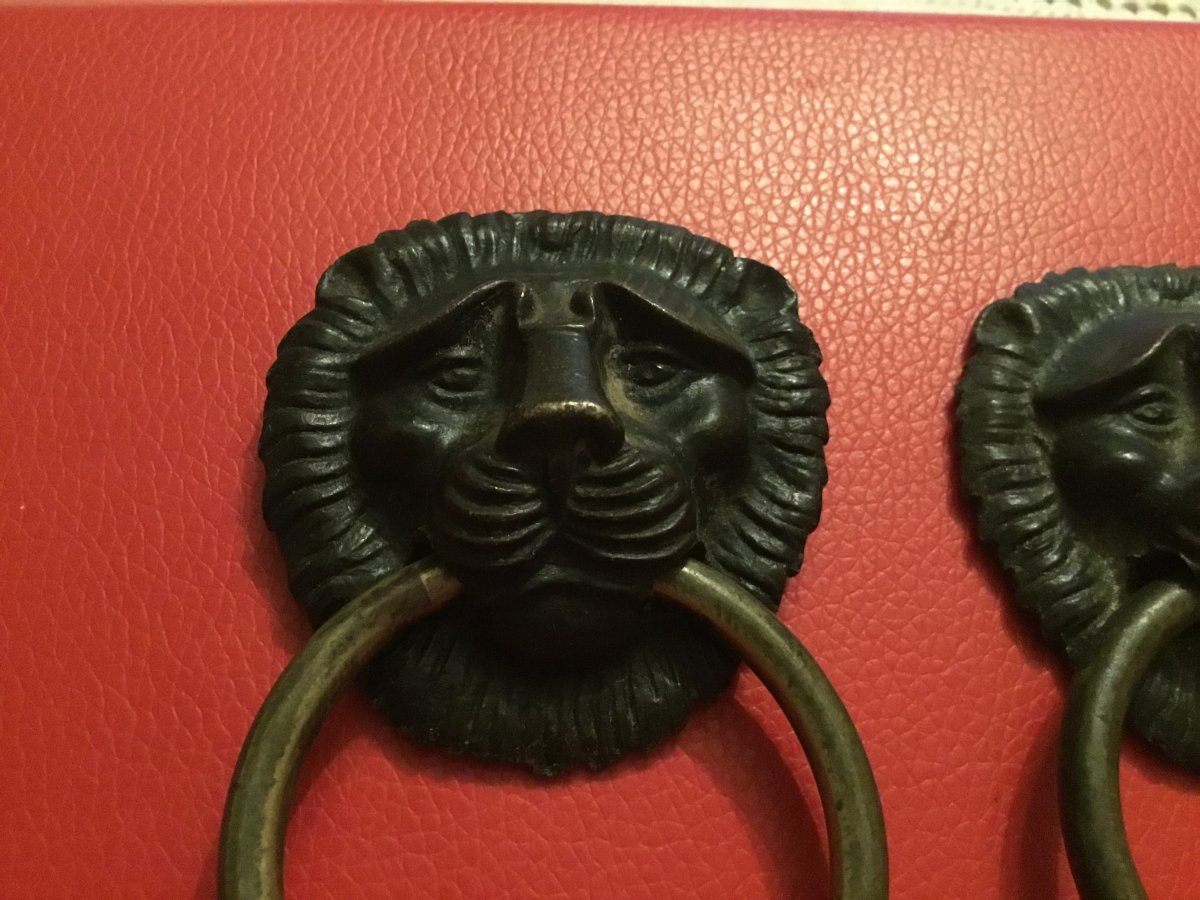 Lions Pull Handles In Bronze Two Patinas, Restoration-photo-1