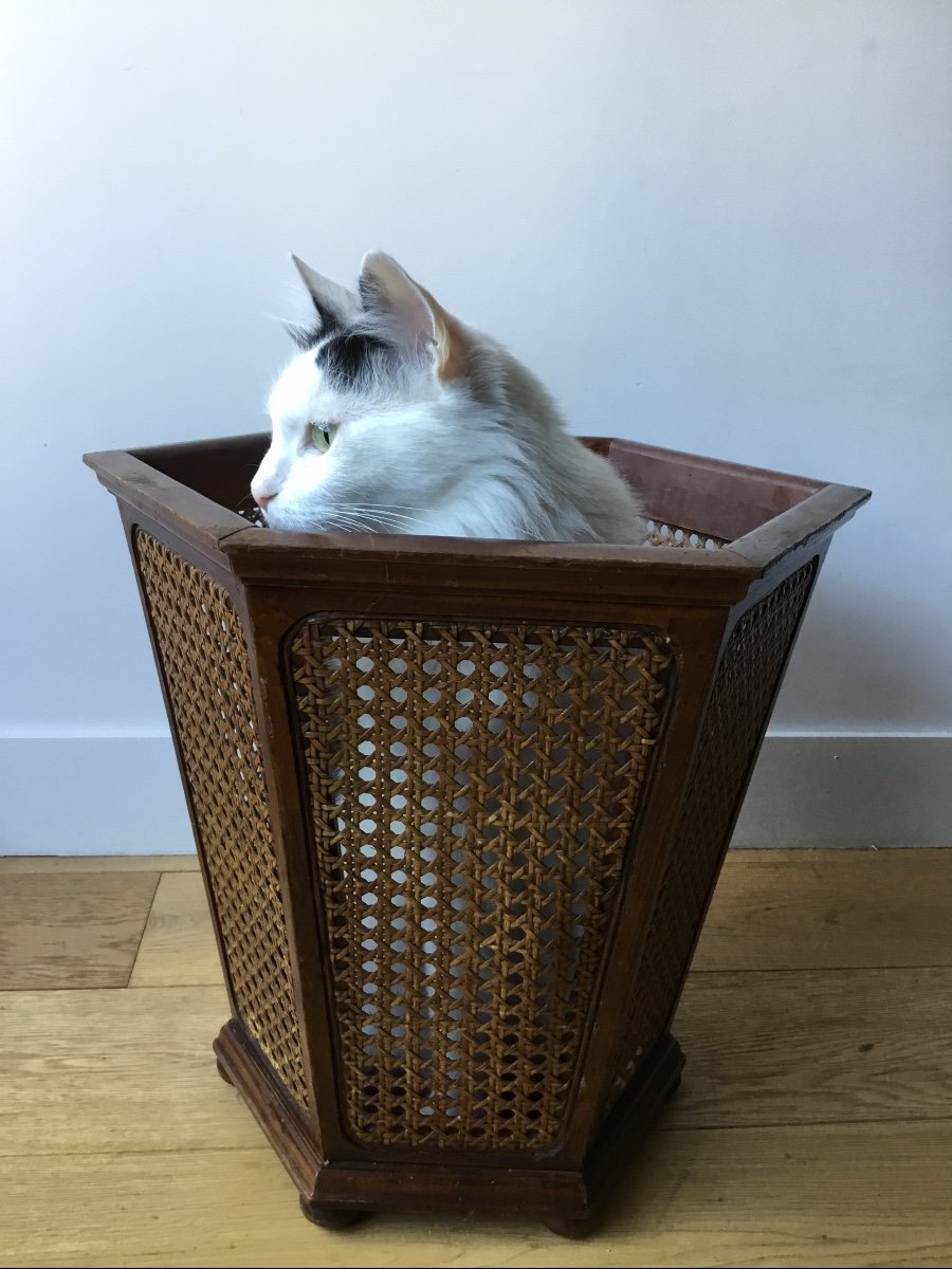 Corbeille à Papier Cannée Hexagonale De Style Louis XVI-photo-7