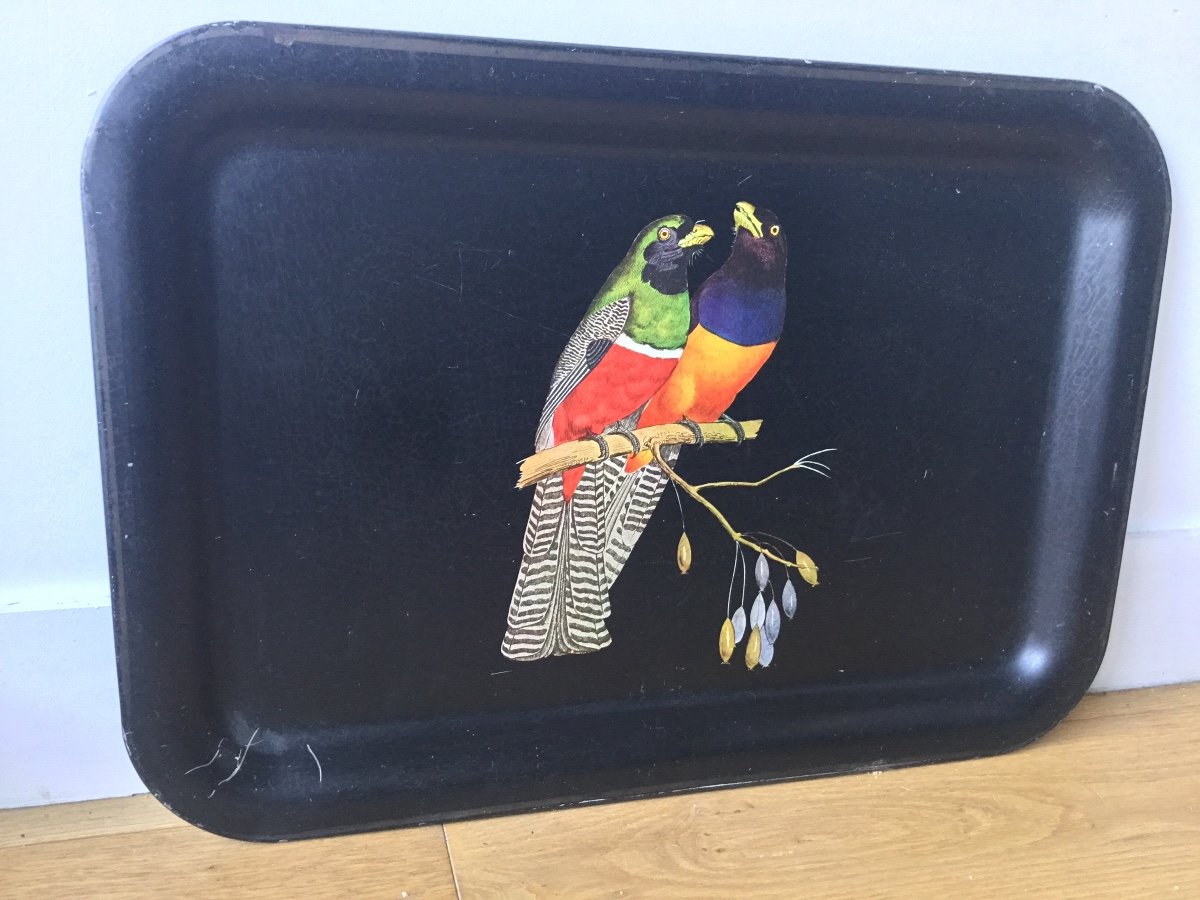 Sheet Metal Serving Tray, Parrots Decor-photo-2