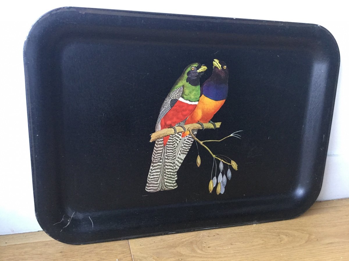 Sheet Metal Serving Tray, Parrots Decor-photo-3