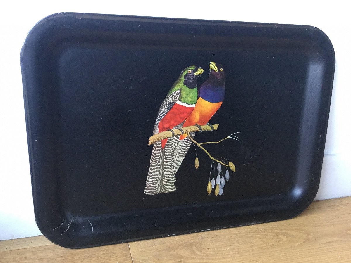 Sheet Metal Serving Tray, Parrots Decor-photo-1