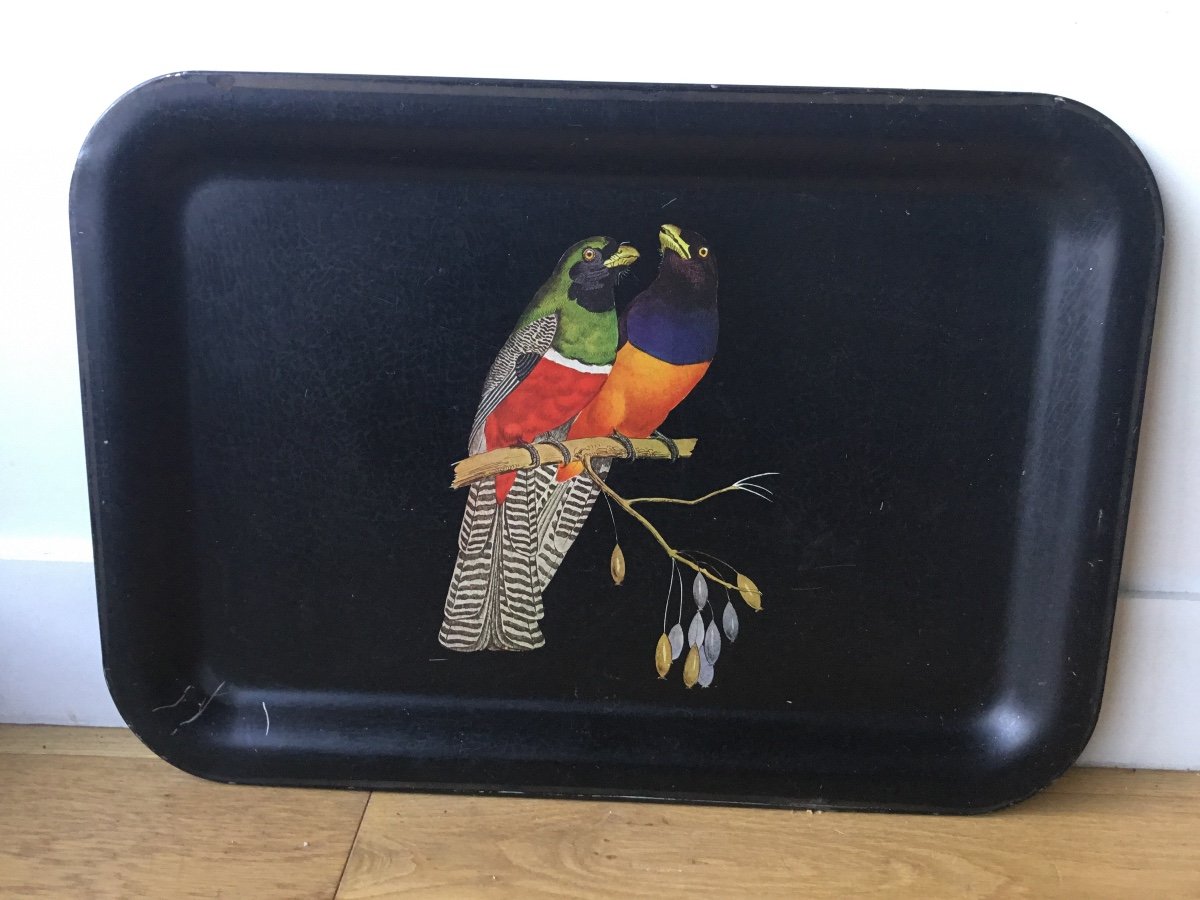 Sheet Metal Serving Tray, Parrots Decor-photo-2