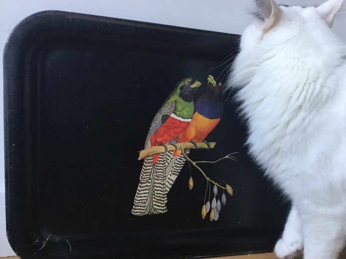 Sheet Metal Serving Tray, Parrots Decor