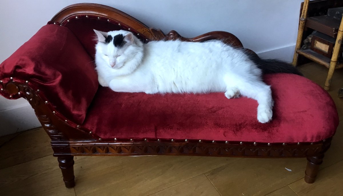 Méridienne , Lit De Repos à col de cygne, Pour Petit Ami