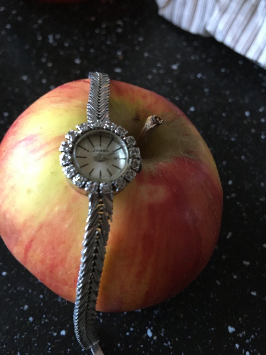 Lady's Watch In White Gold And Small Brilliant-photo-2