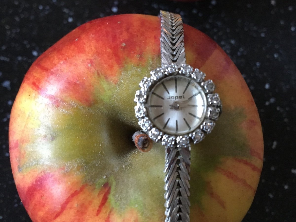 Lady's Watch In White Gold And Small Brilliant-photo-3