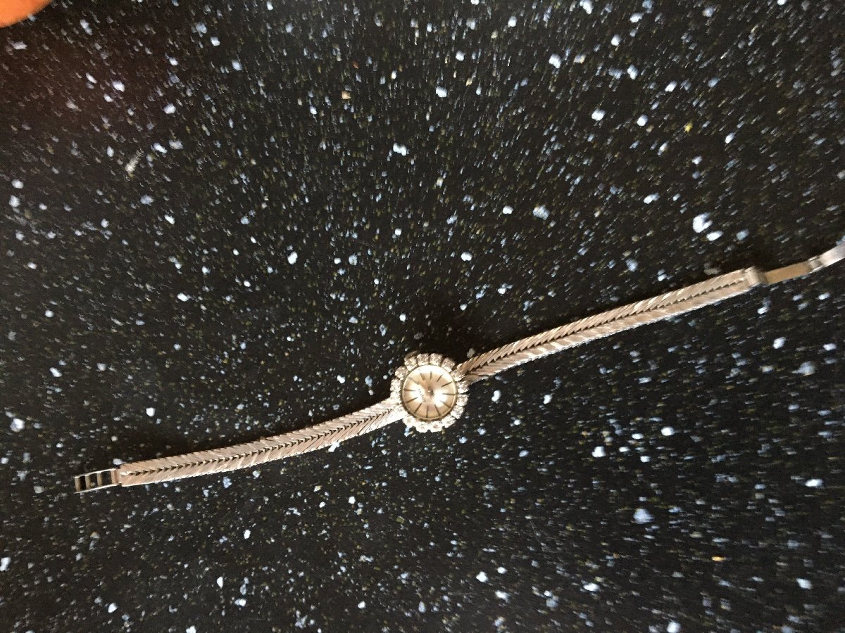 Lady's Watch In White Gold And Small Brilliant-photo-4