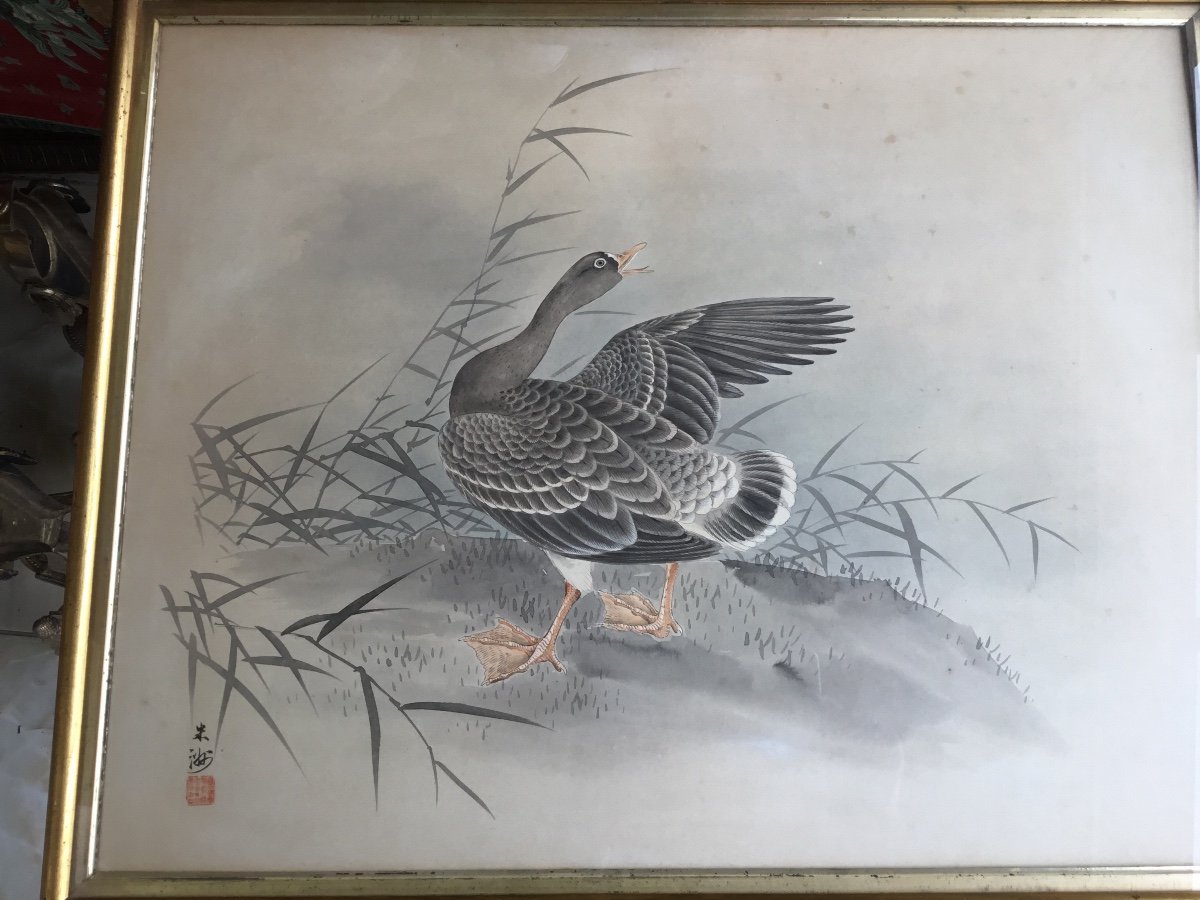 L’ Oie Mécontente, Gouache , Japon, Vers 1900-photo-6