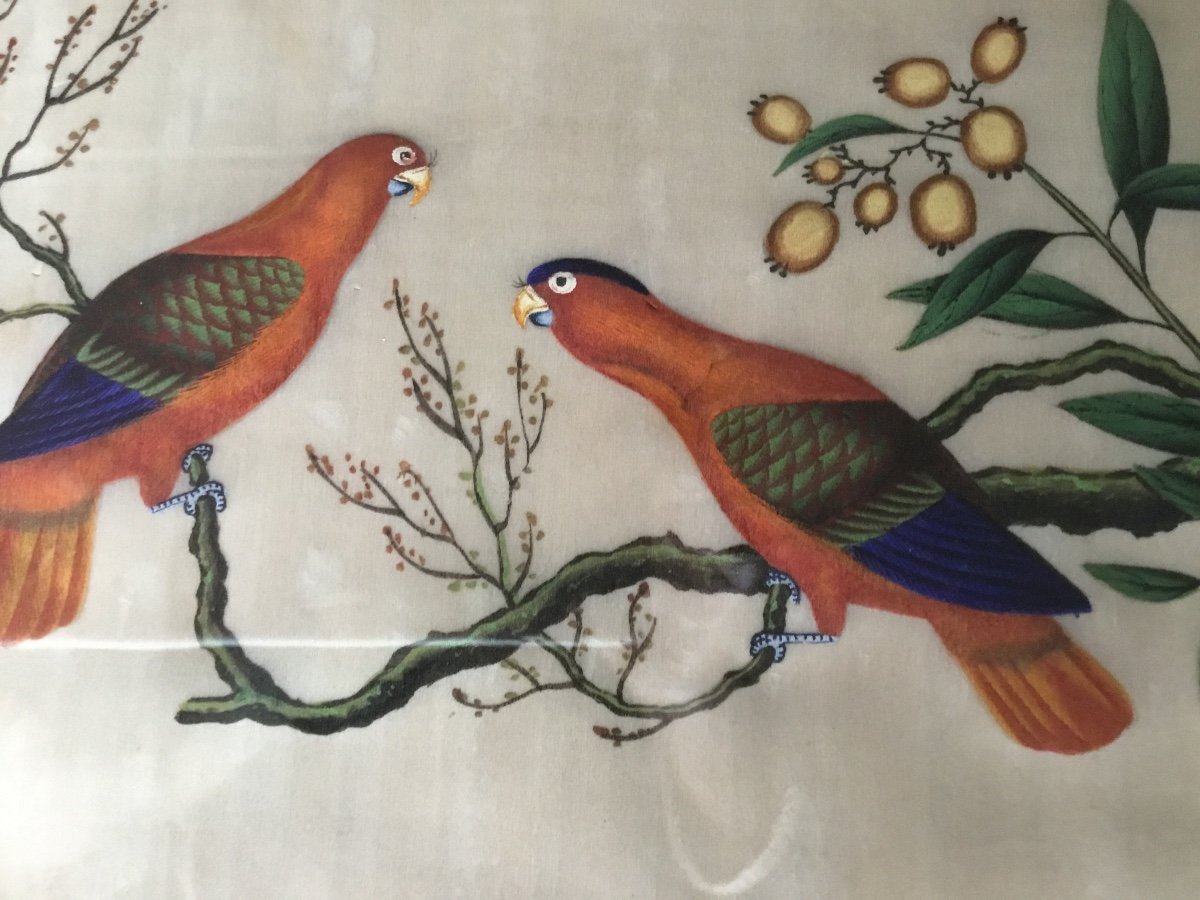 Couple de Perroquets, Chine Canton XIXème, Gouache Sur Papier De Riz-photo-6