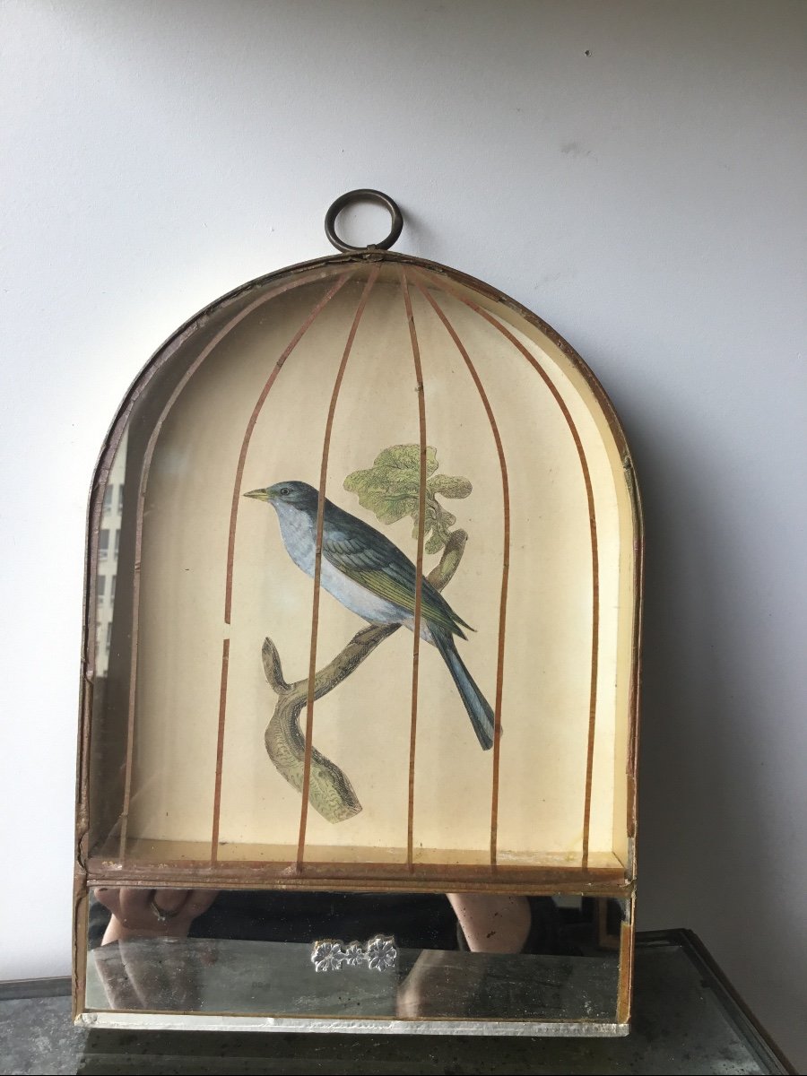 Cage à Oiseau En Trompe-l'oeil-photo-3