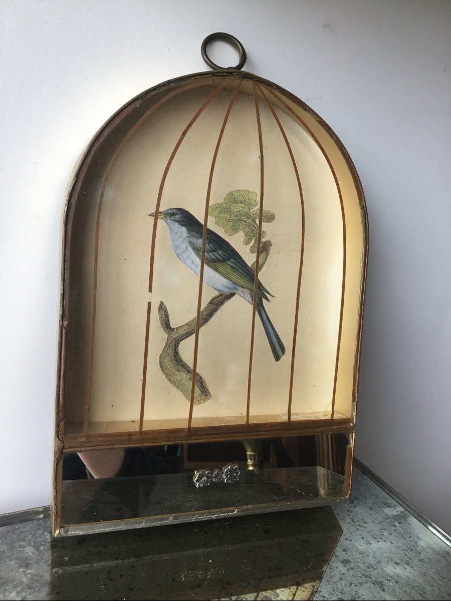 Cage à Oiseau En Trompe-l'oeil-photo-4