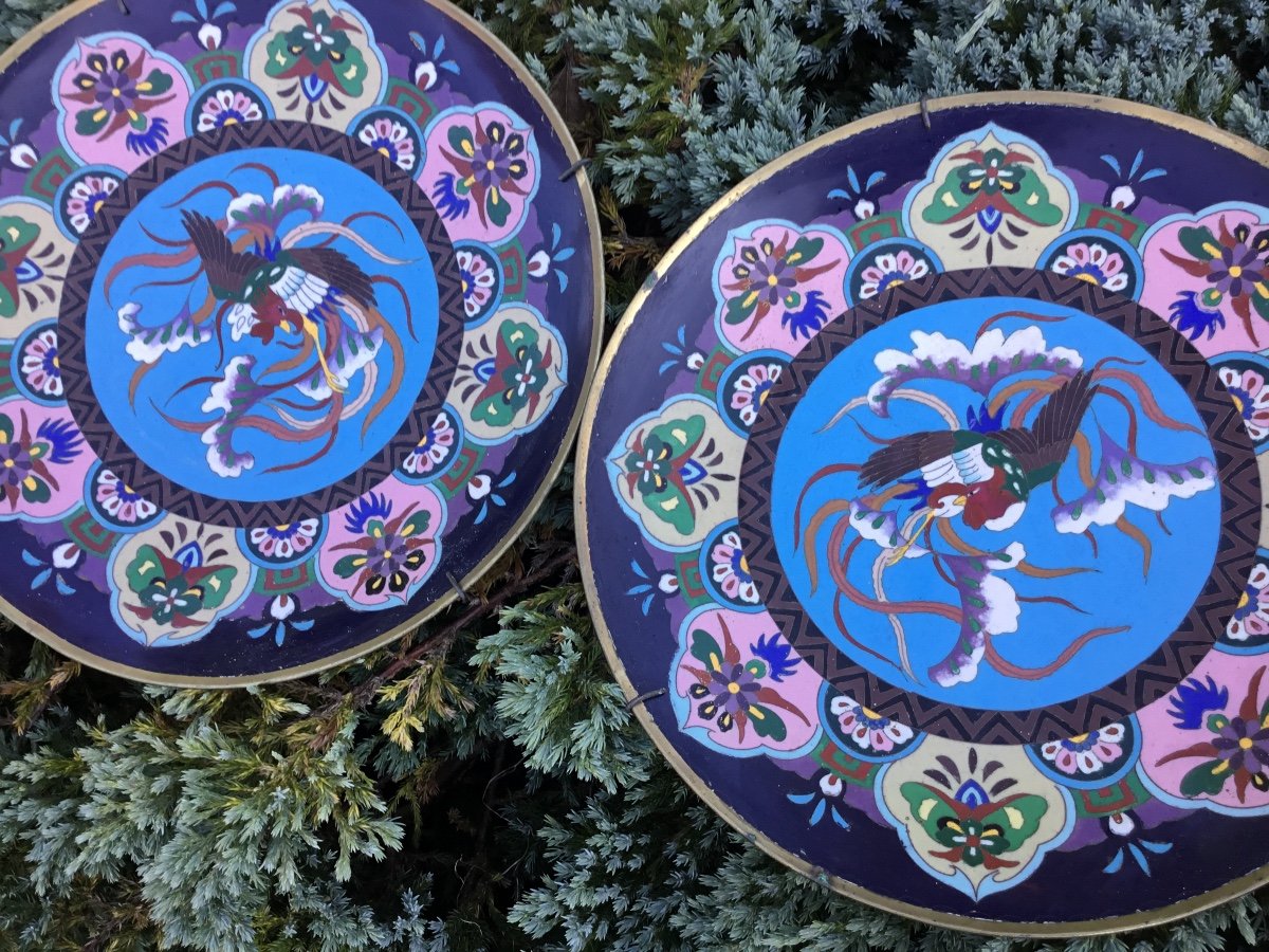 Paire De Plats émail Cloisonné Du Japon Aux Phœnix , 19e Siècle