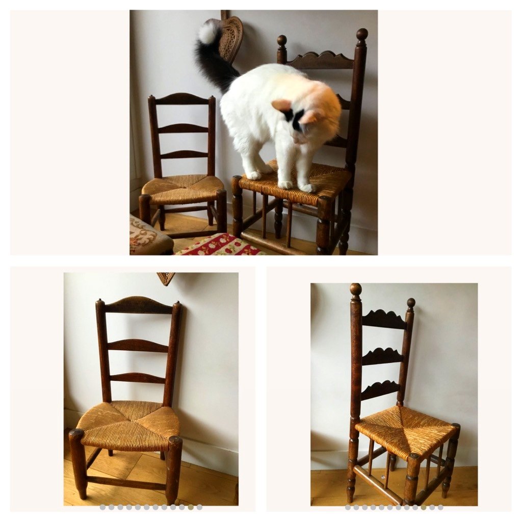 The Child's Chair Or Doll's... Or Cat's...