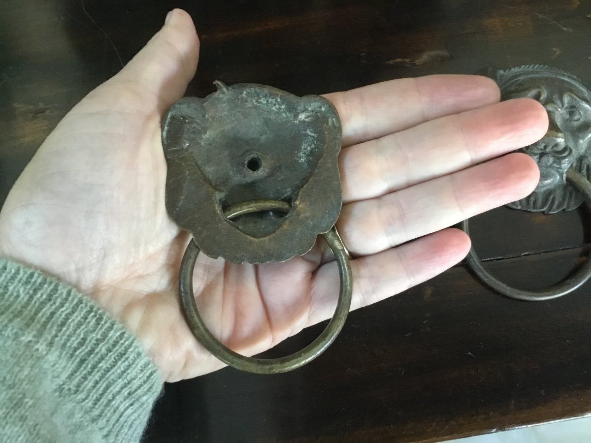 The Pair Of Lions Pull Handles-photo-4