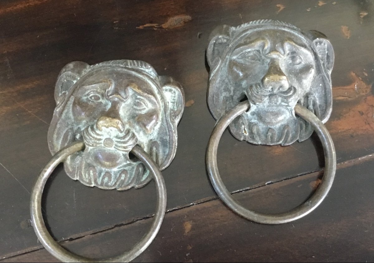 The Pair Of Lions Pull Handles