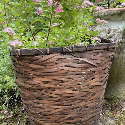 Premiere-Image-1563433