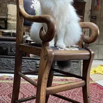 Premiere-Image-1690888