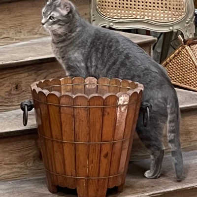 Premiere-Image-1738805