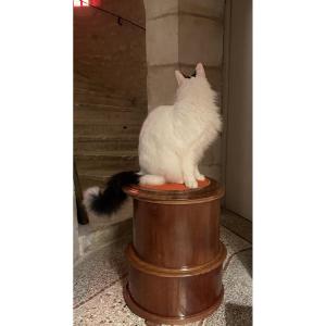 tabouret , coffre ou  colonne anglais en  acajou  XIX eme