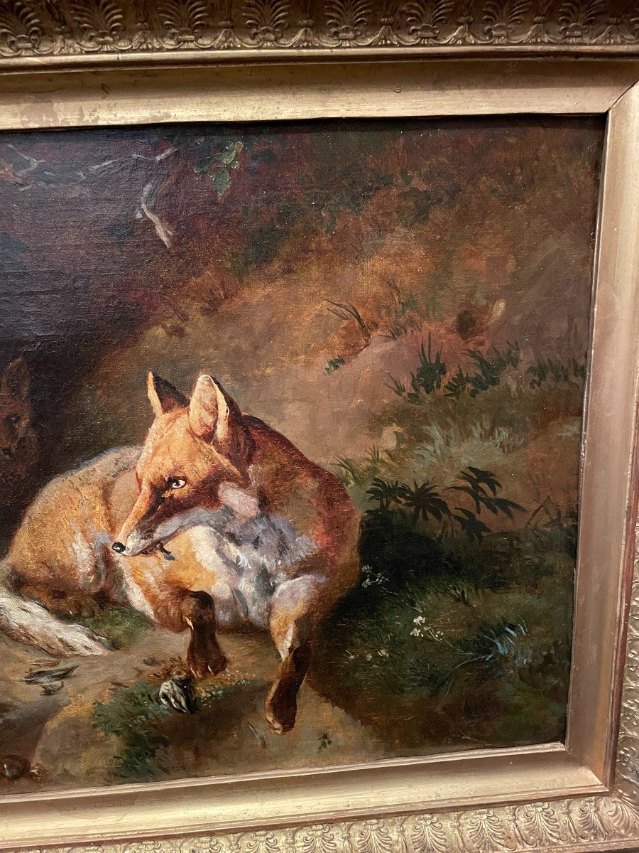 Painting Family Of Foxes After Jacques Brascassat  Nineteenth Century-photo-1