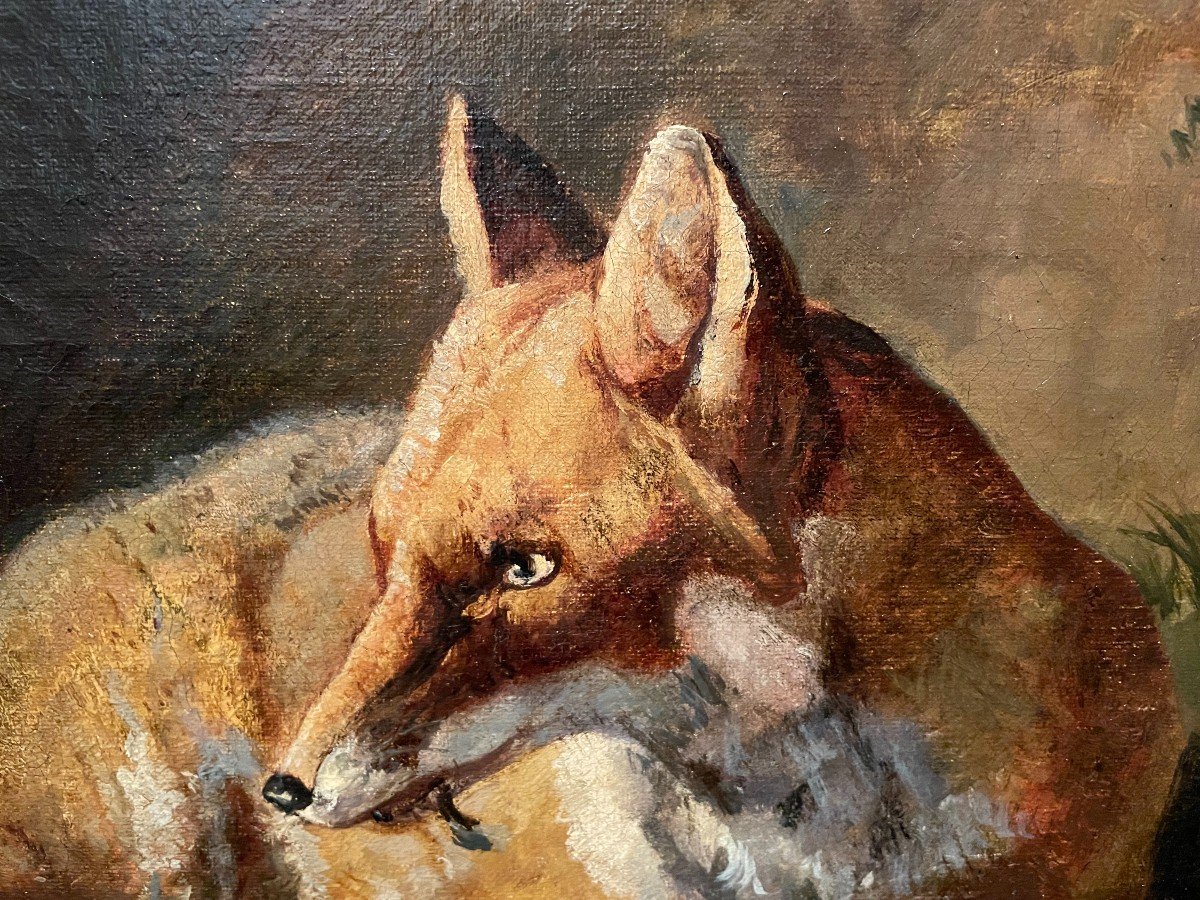 Painting Family Of Foxes After Jacques Brascassat  Nineteenth Century-photo-5