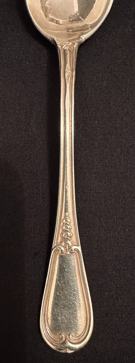 émile Puiforcat 14 Small Spoons Sterling Silver  Flowered Net Model Nineteenth Century-photo-4