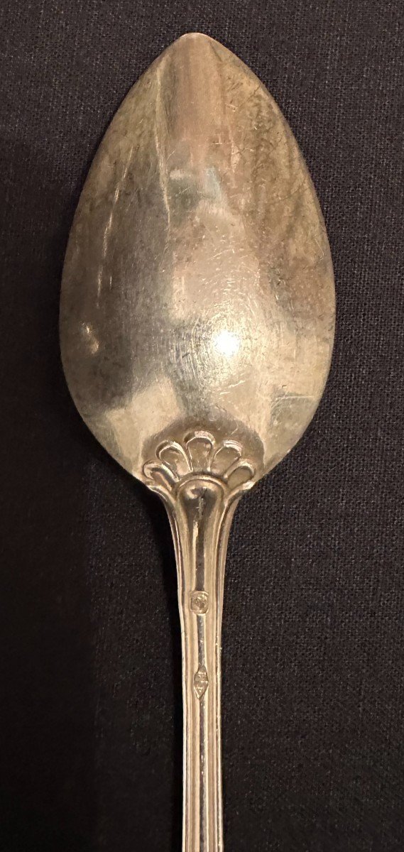 émile Puiforcat 14 Small Spoons Sterling Silver  Flowered Net Model Nineteenth Century-photo-6