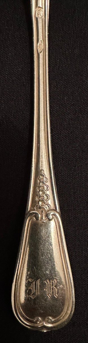 émile Puiforcat 14 Small Spoons Sterling Silver  Flowered Net Model Nineteenth Century-photo-7