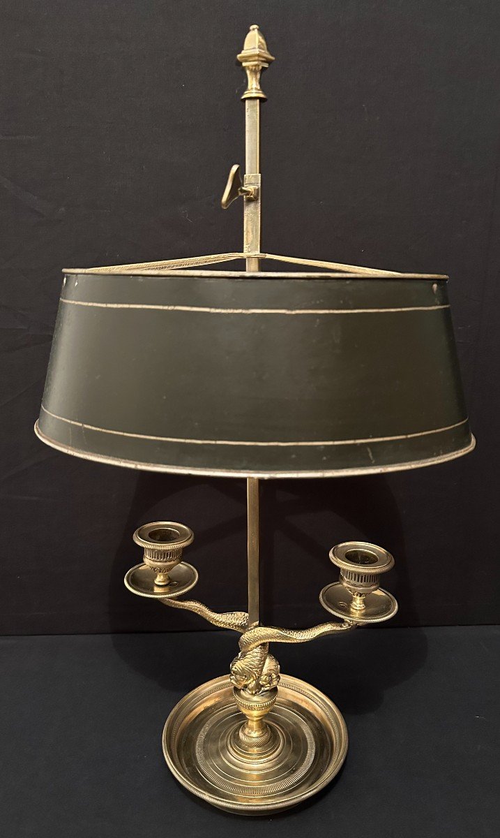 Hot Water Bottle Lamp With Dolphins 19th Century Empire Style