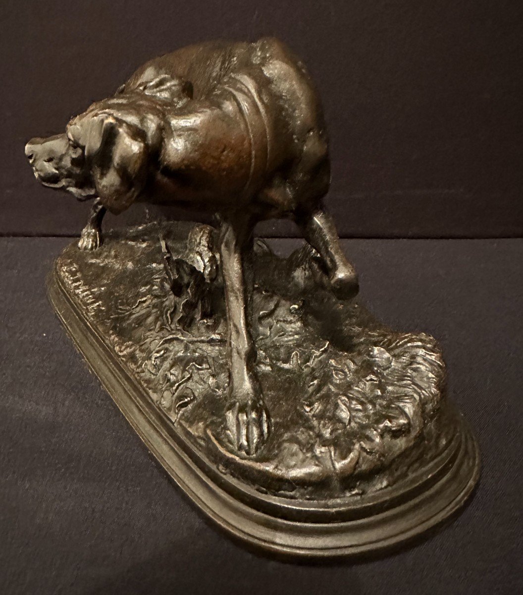 Bronze Pointer Hunting Dog Standing By Pierre-jules Méne Cast Iron Late 19th Century-photo-2