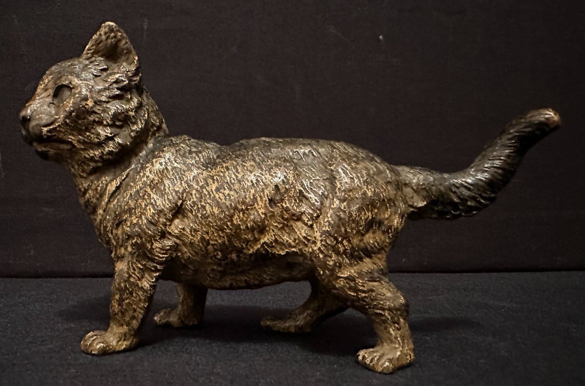 Bronze Cat From Vienna Late 19th Century-photo-2