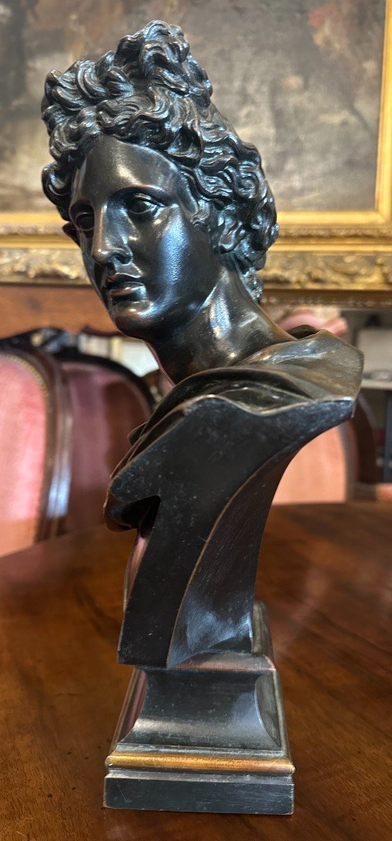 Bronze Bust Of The Apollo Belvedere, Paris Bronze Society, Founder, Late 19th Century -photo-2