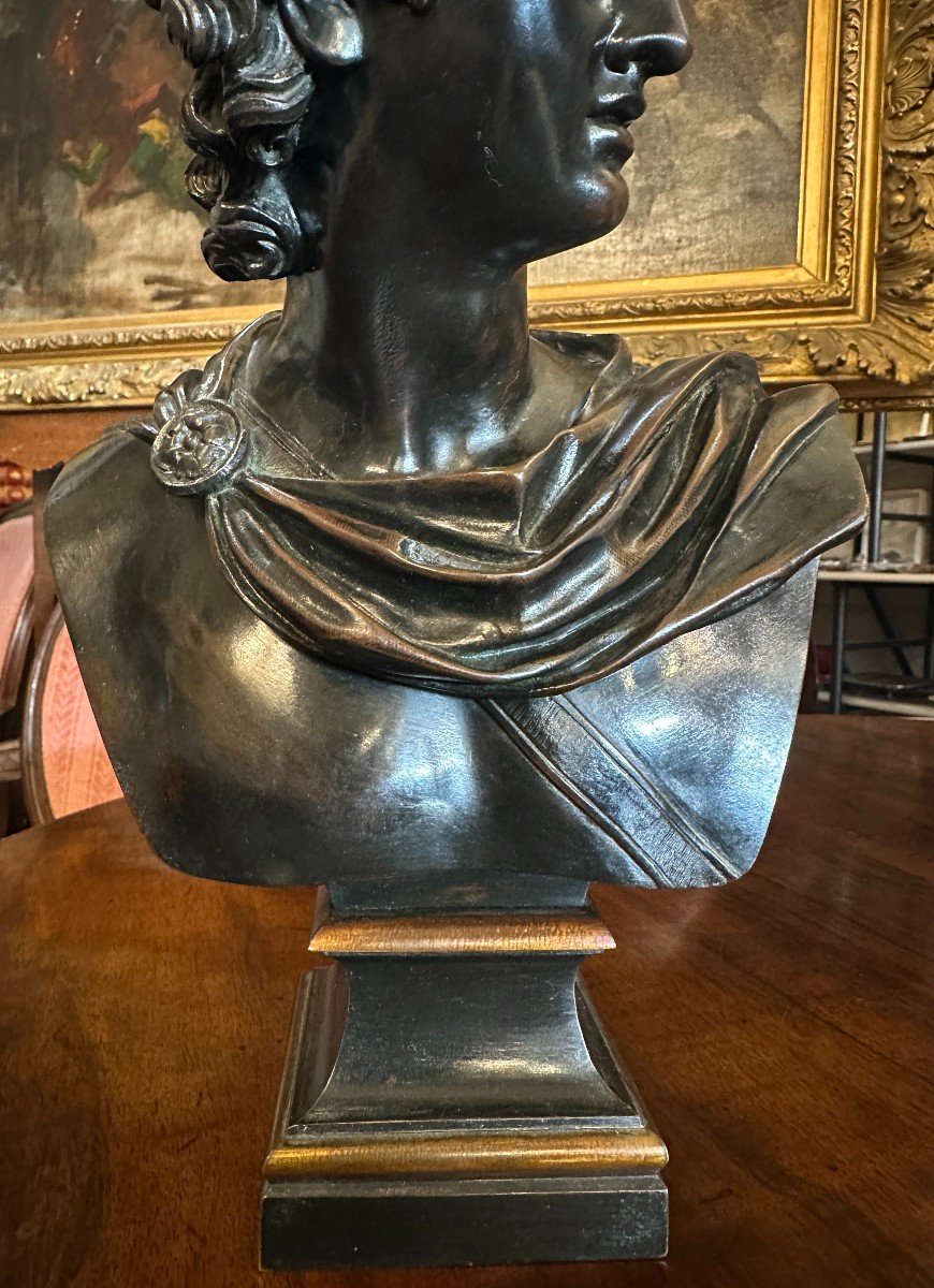 Bronze Bust Of The Apollo Belvedere, Paris Bronze Society, Founder, Late 19th Century -photo-2