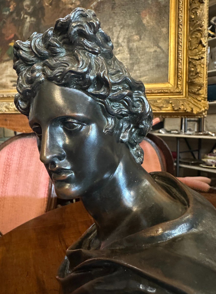Bronze Bust Of The Apollo Belvedere, Paris Bronze Society, Founder, Late 19th Century -photo-3
