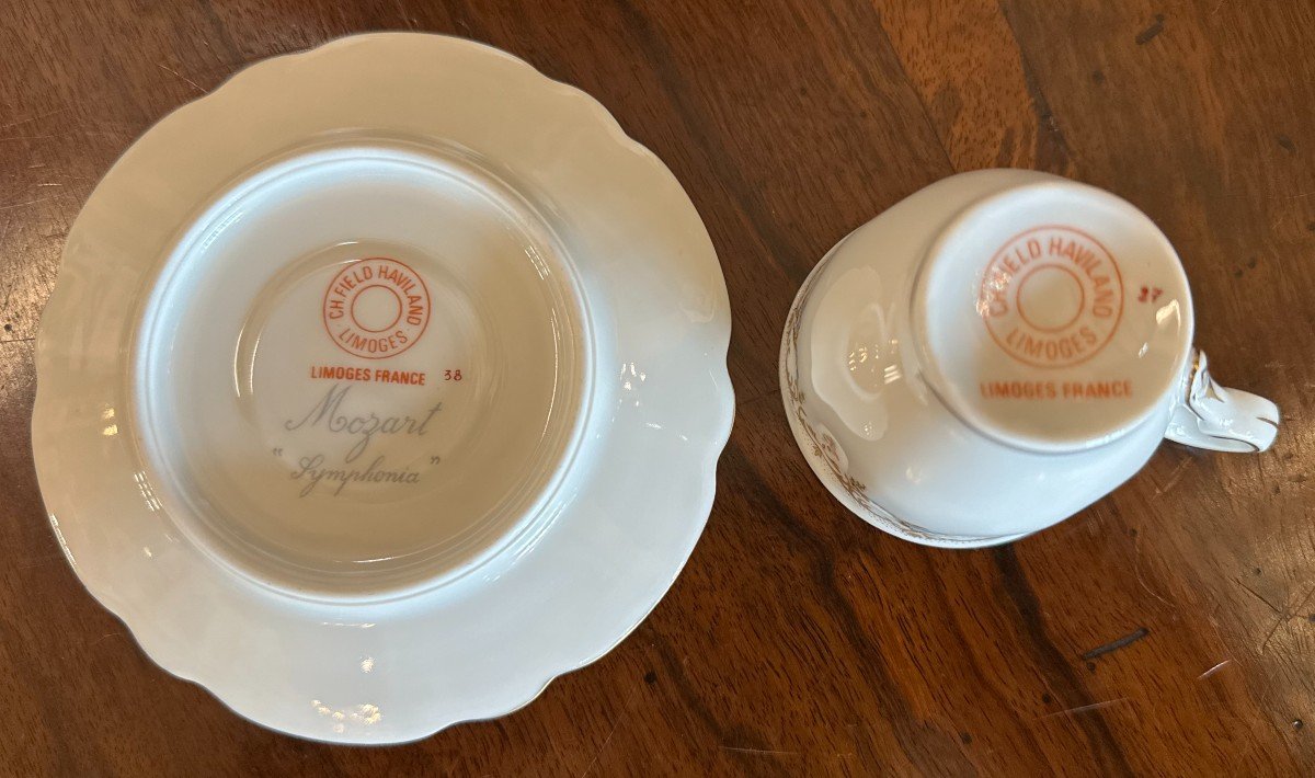 Haviland Limoges Porcelain Coffee Service Mozart Symphonia Model 12 People-photo-6