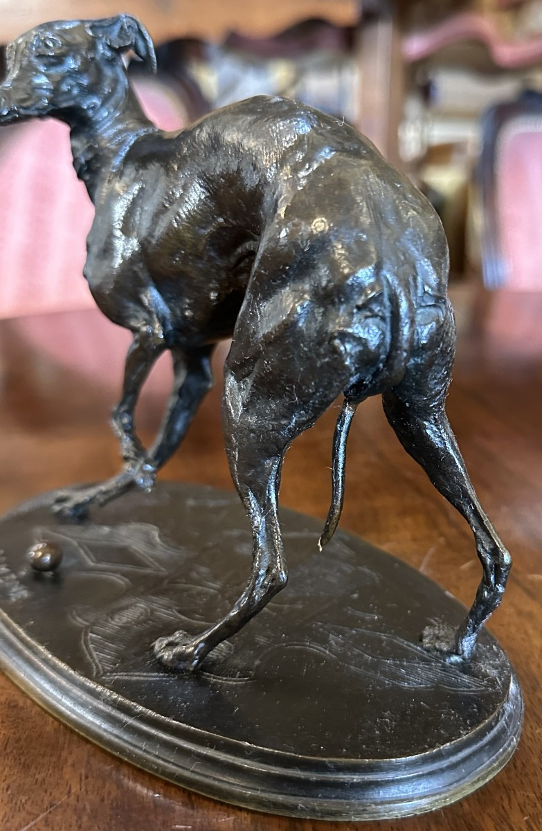 Bronze Sculpture Jiji Dog Greyhound With Ball By Pierre-jules Mêne 19th Century-photo-2