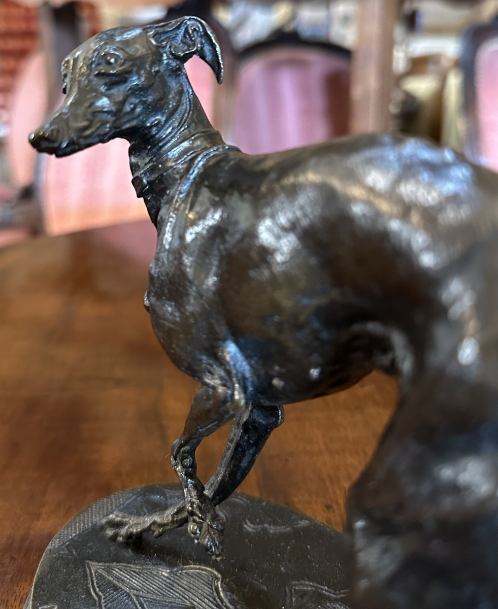Bronze Sculpture Jiji Dog Greyhound With Ball By Pierre-jules Mêne 19th Century-photo-3